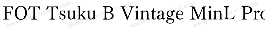 FOT Tsuku B Vintage MinL Pro字体转换
